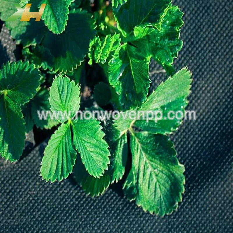 degradable pp non woven